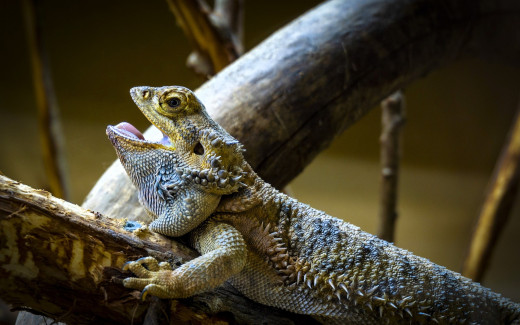 1753750 (a): :1920x1200